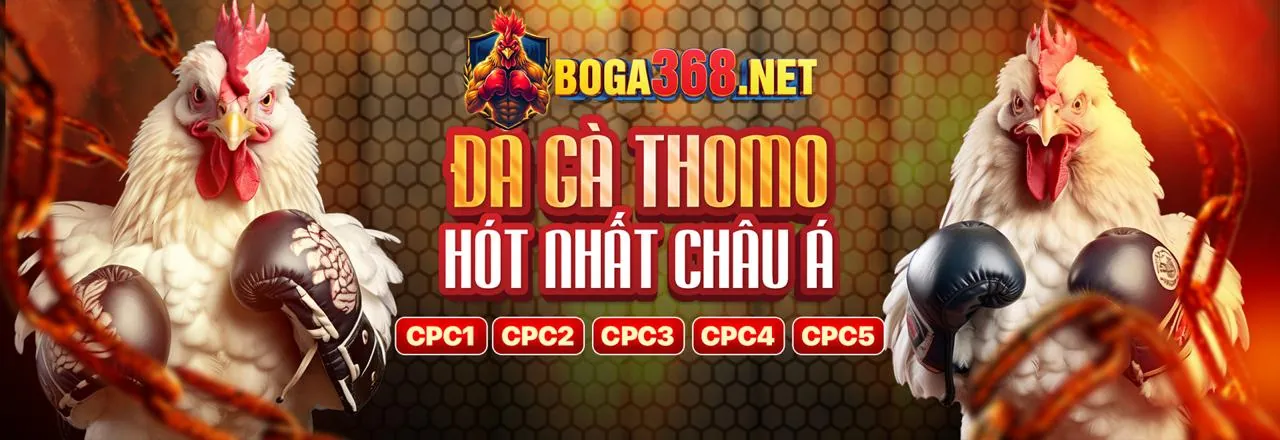 Đá Gà Trực Tuyến 8win Khuyến Mãi