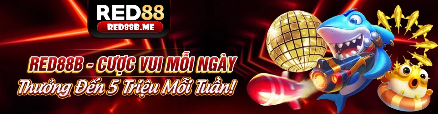 AI và cá nhân hóa trải nghiệm người dùng